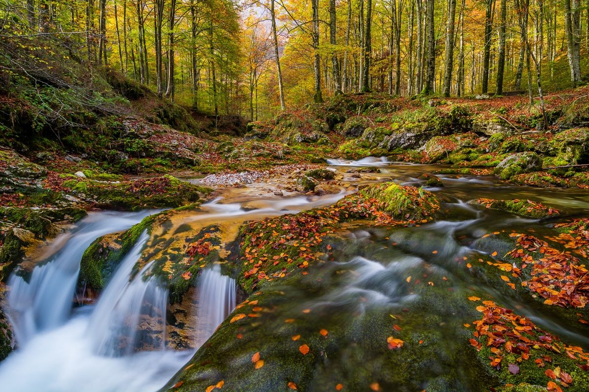 C'era una volta d' autunno...