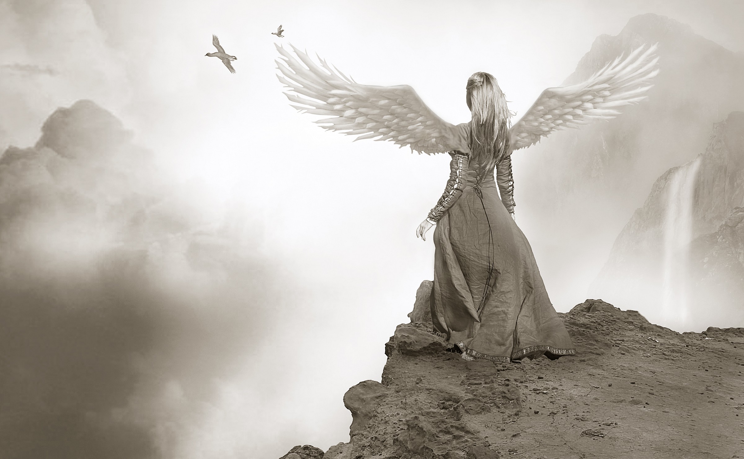 Paese delle meraviglie