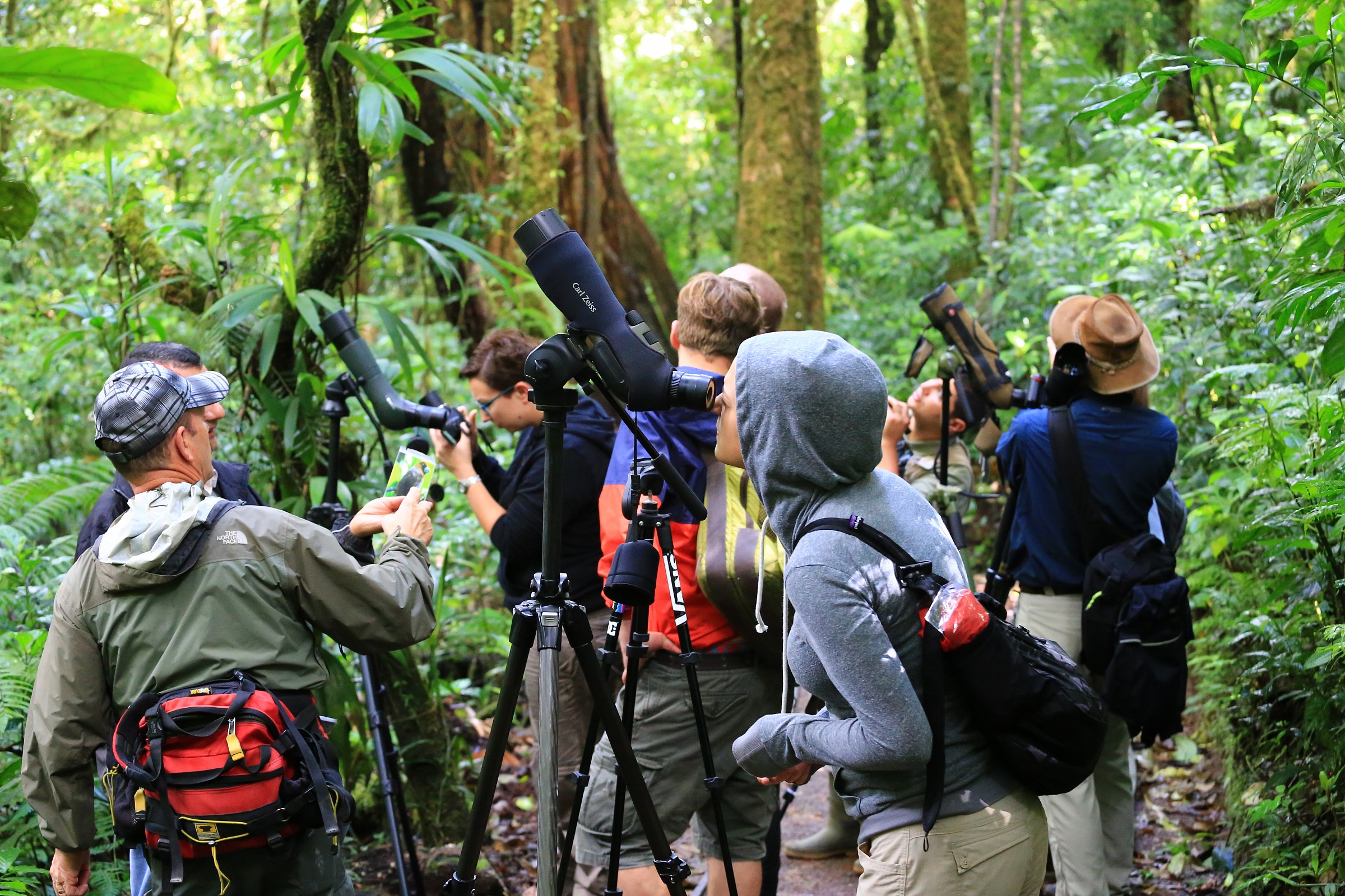 Guarda guarda, un Quetzal!