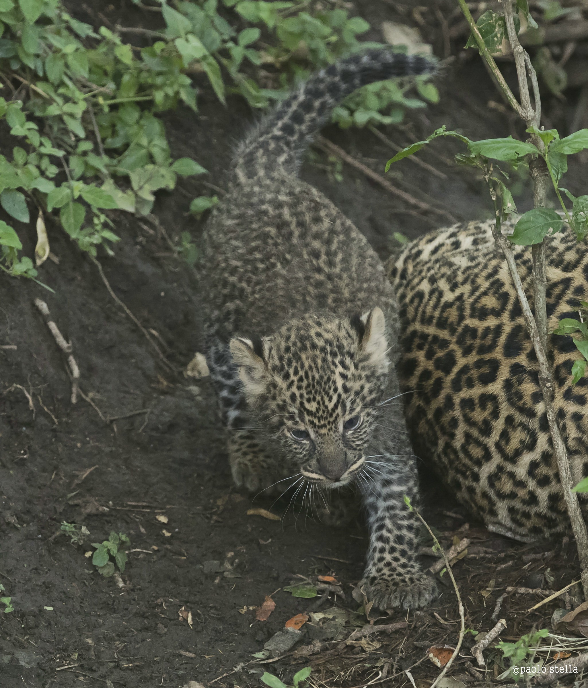 exploration ..al safe