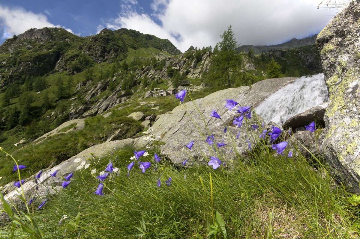 Carcoforo- Alpe shovel