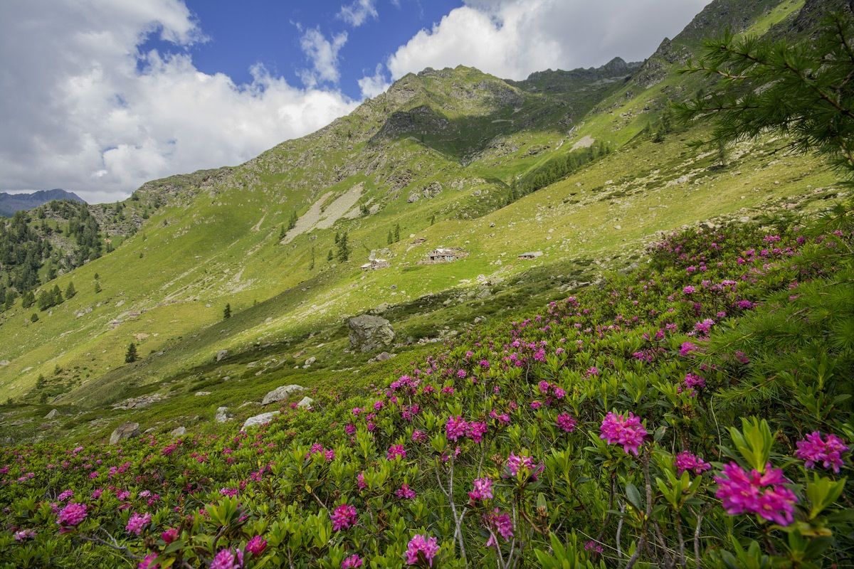 Rimasco- Alpe Cross Gates