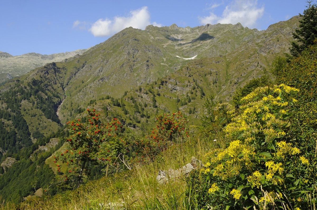 Rimasco- From alp Saddles - Valepiat