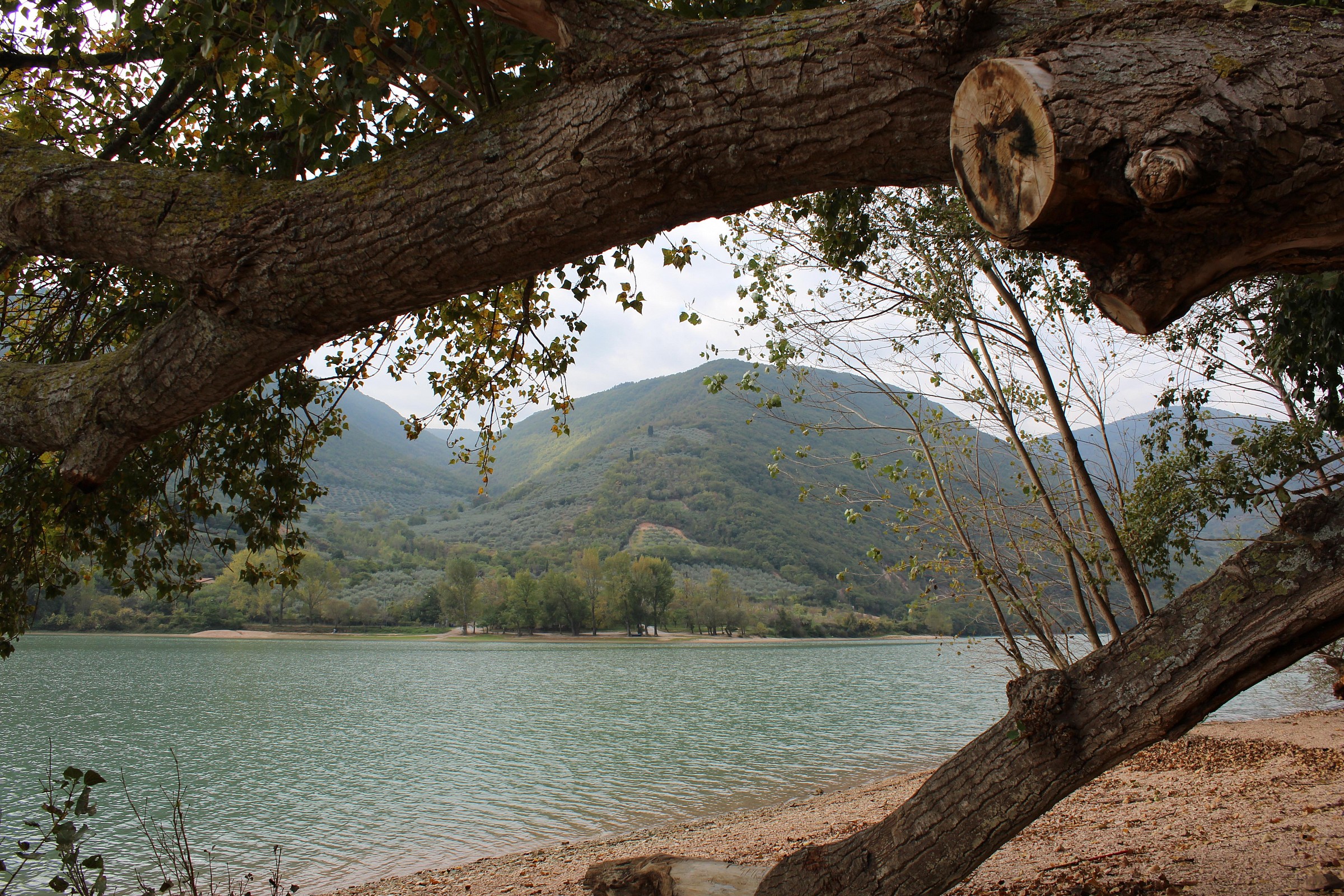 Lake Caccamo