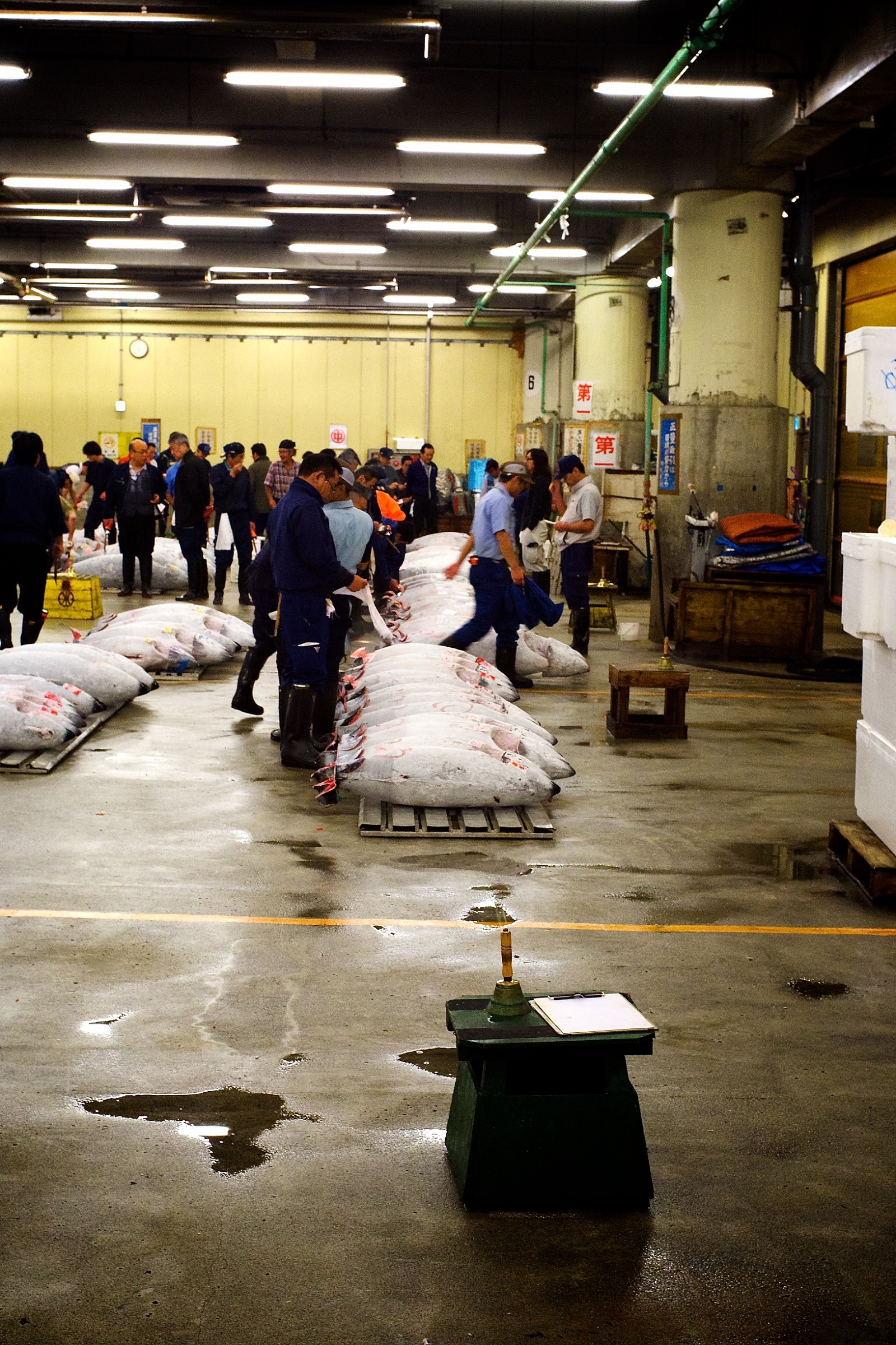 Tsukiji - Asta del tonno