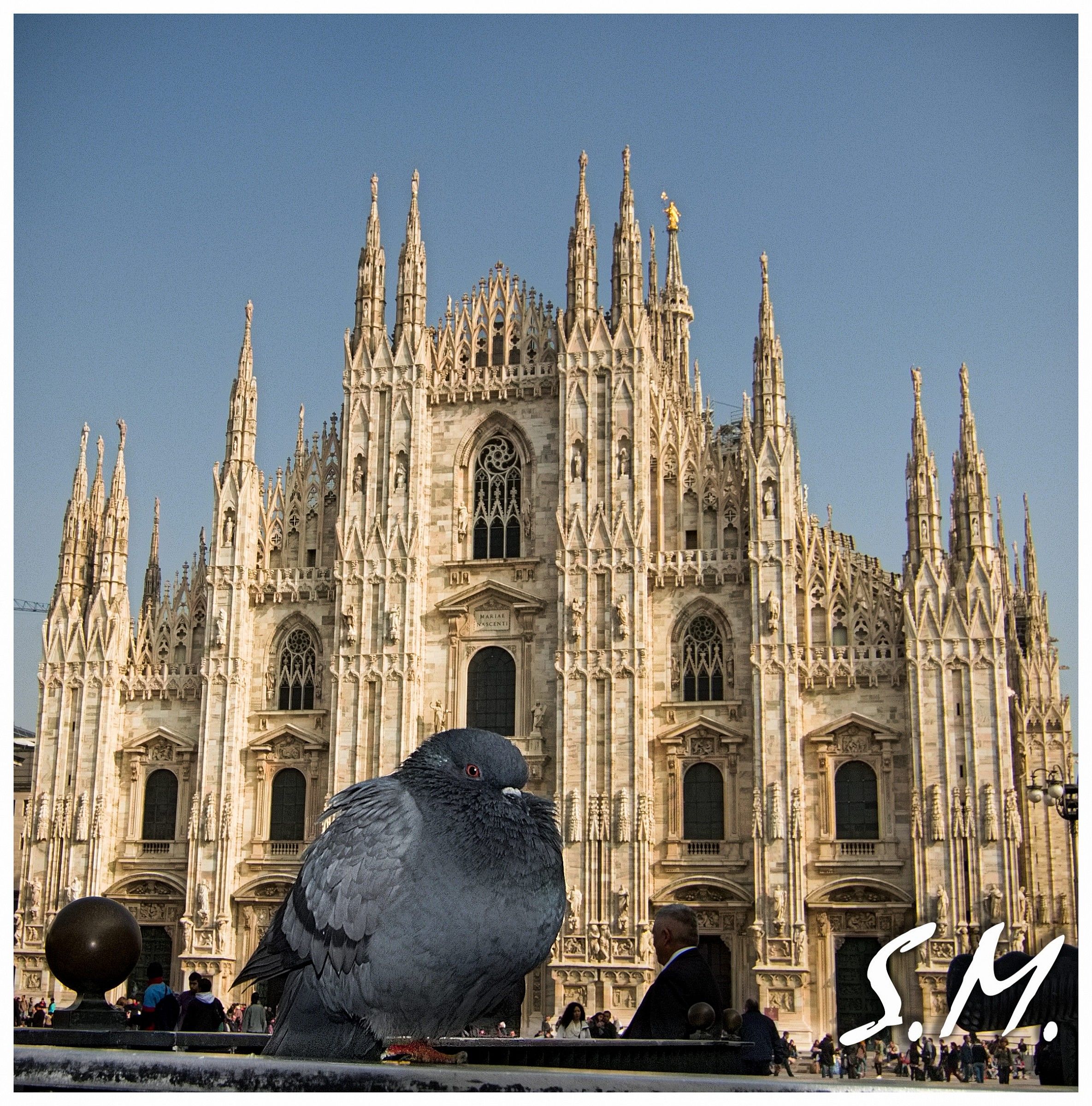 Una cartolina da Milano