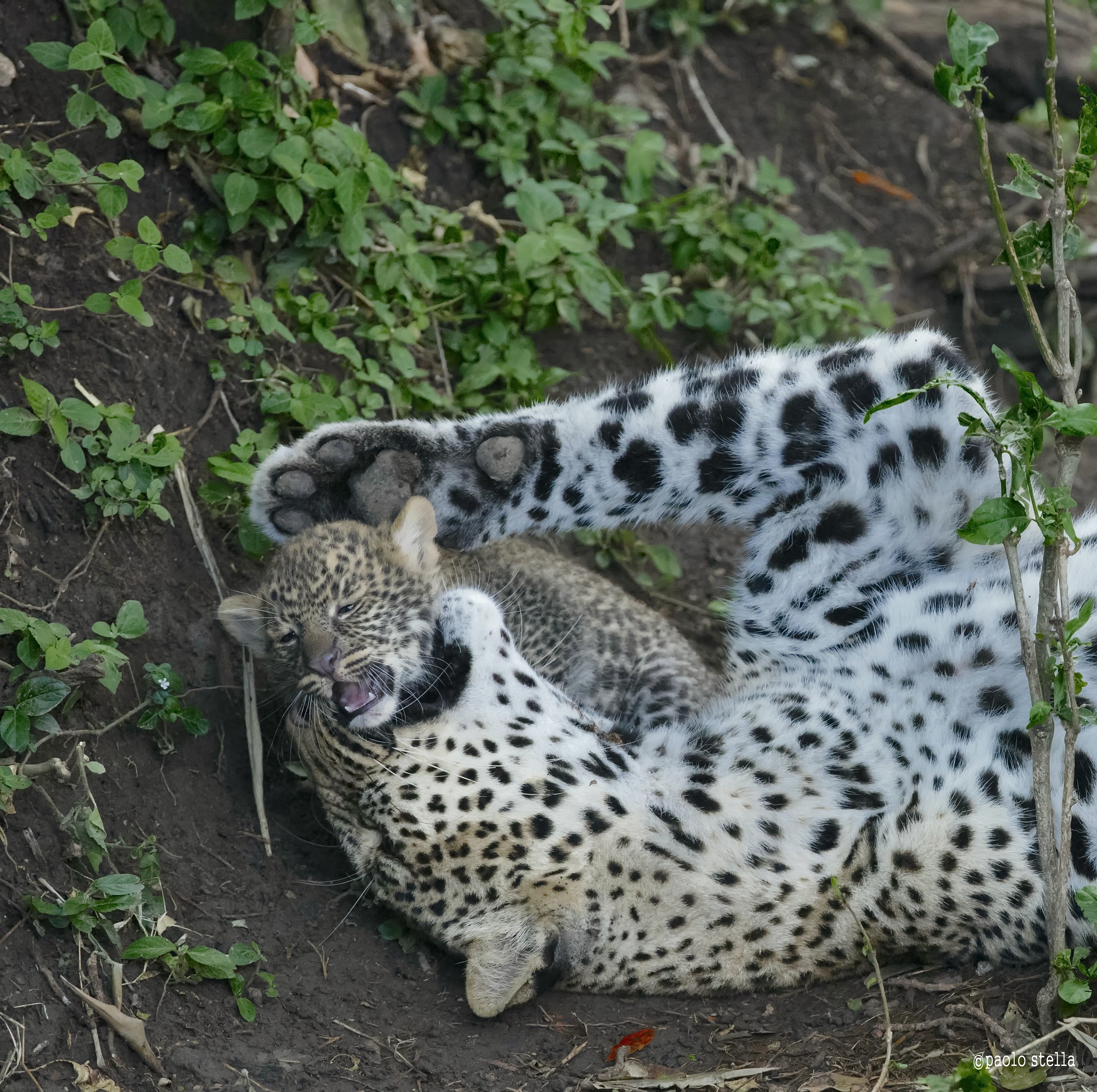 do not be afraid ...