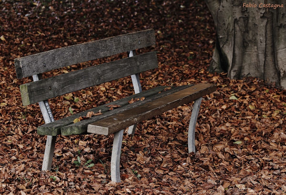 Riposarsi accanto all'Autunno