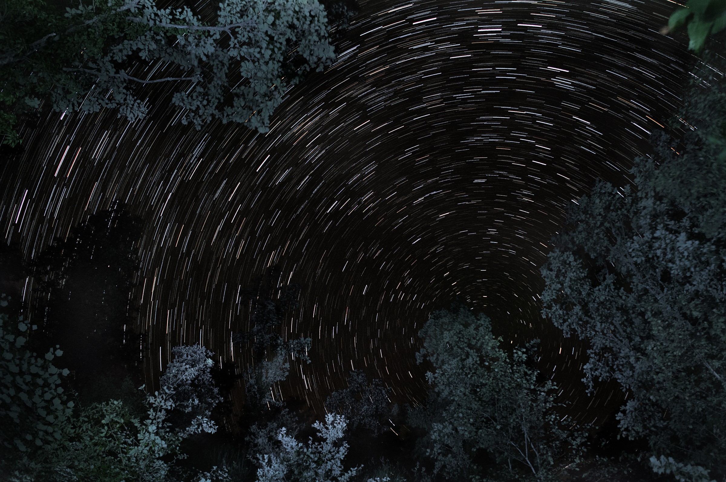 startrail