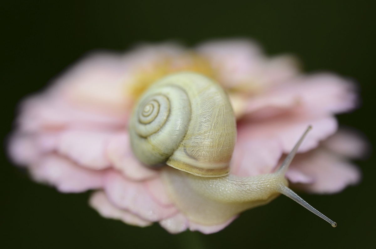 L'occhio...tutto il resto...è soft