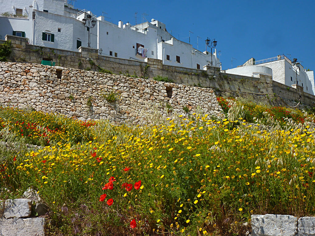 Ostuni