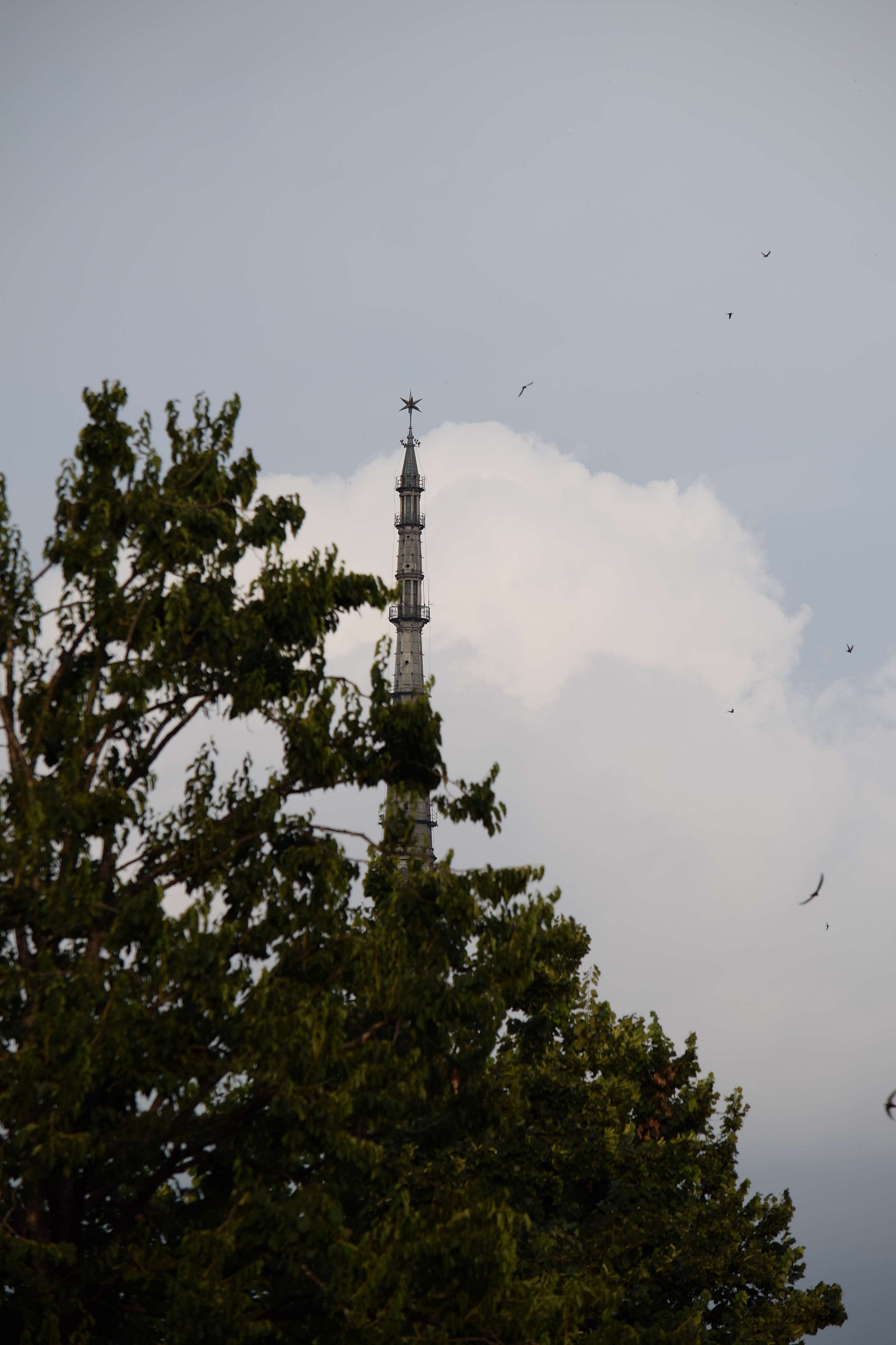 La punta della Mole Antonelliana