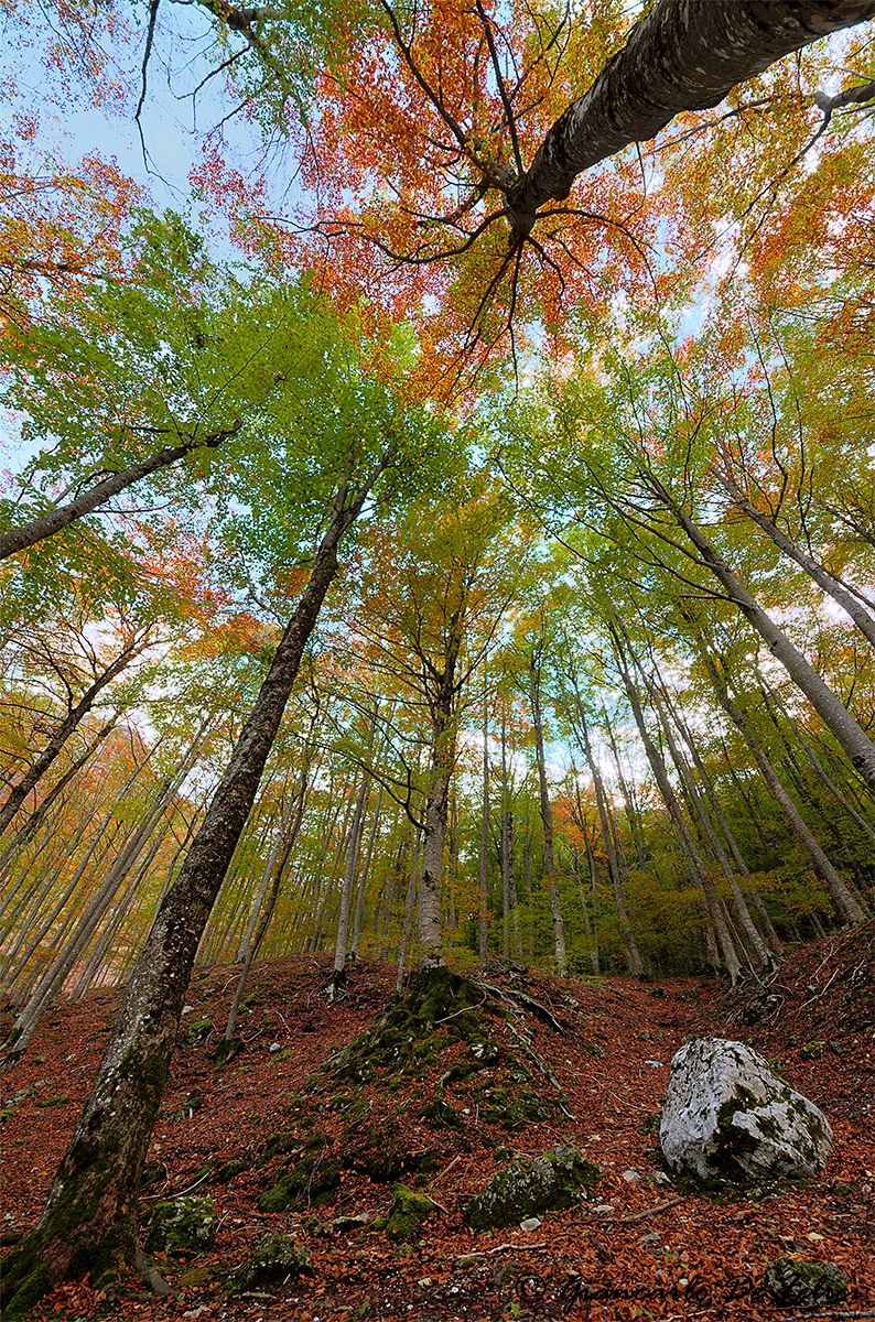 The colors around us