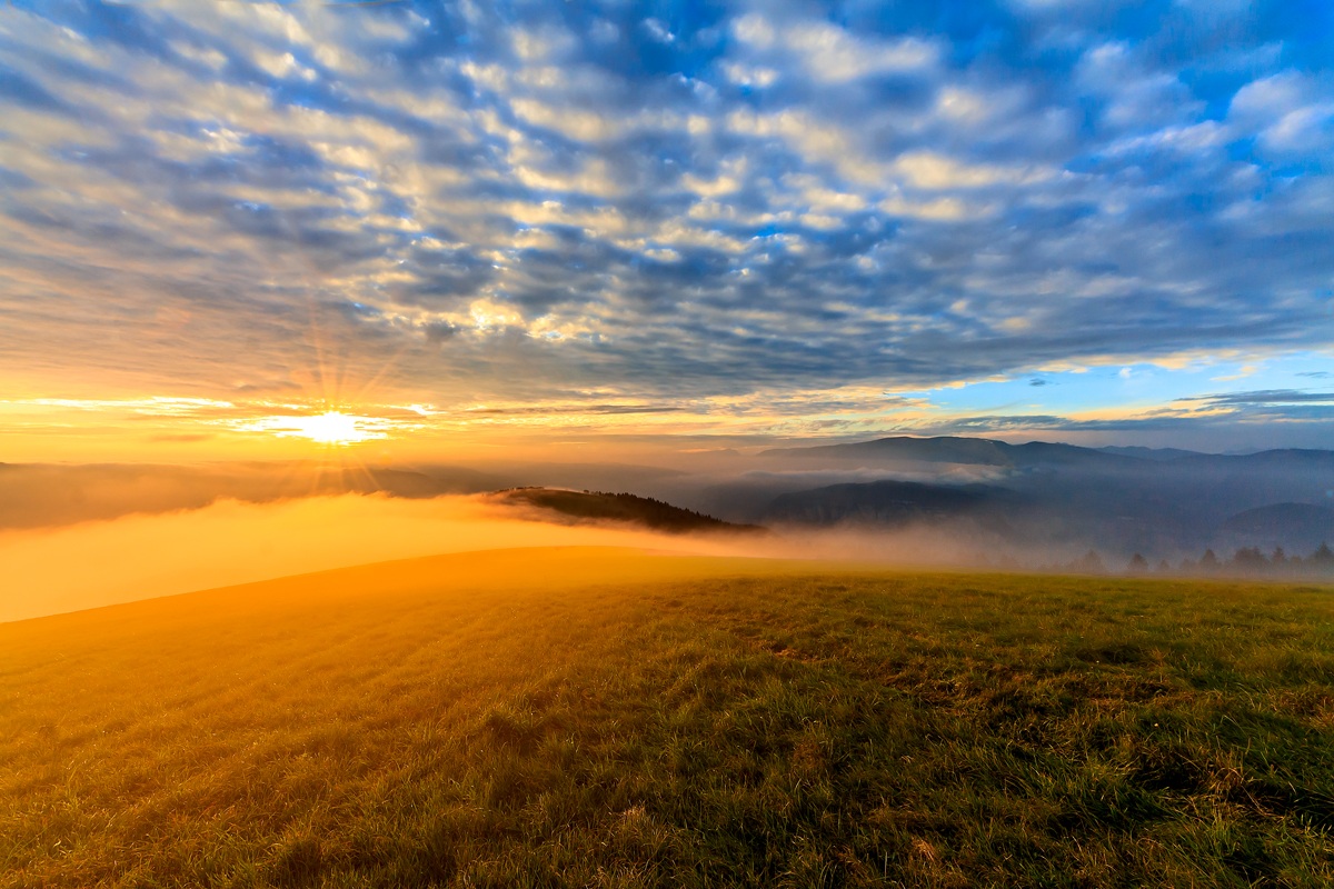 Conclusions at the end of the day