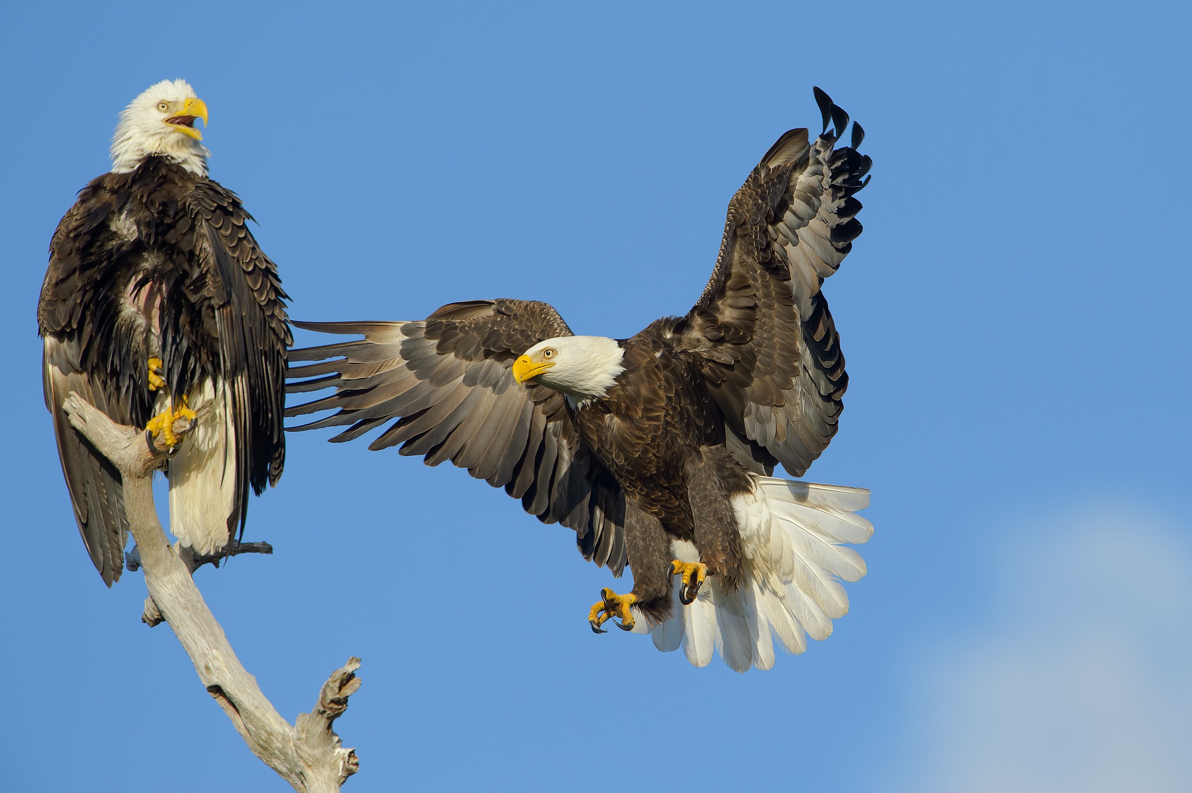 Wait for that arrival