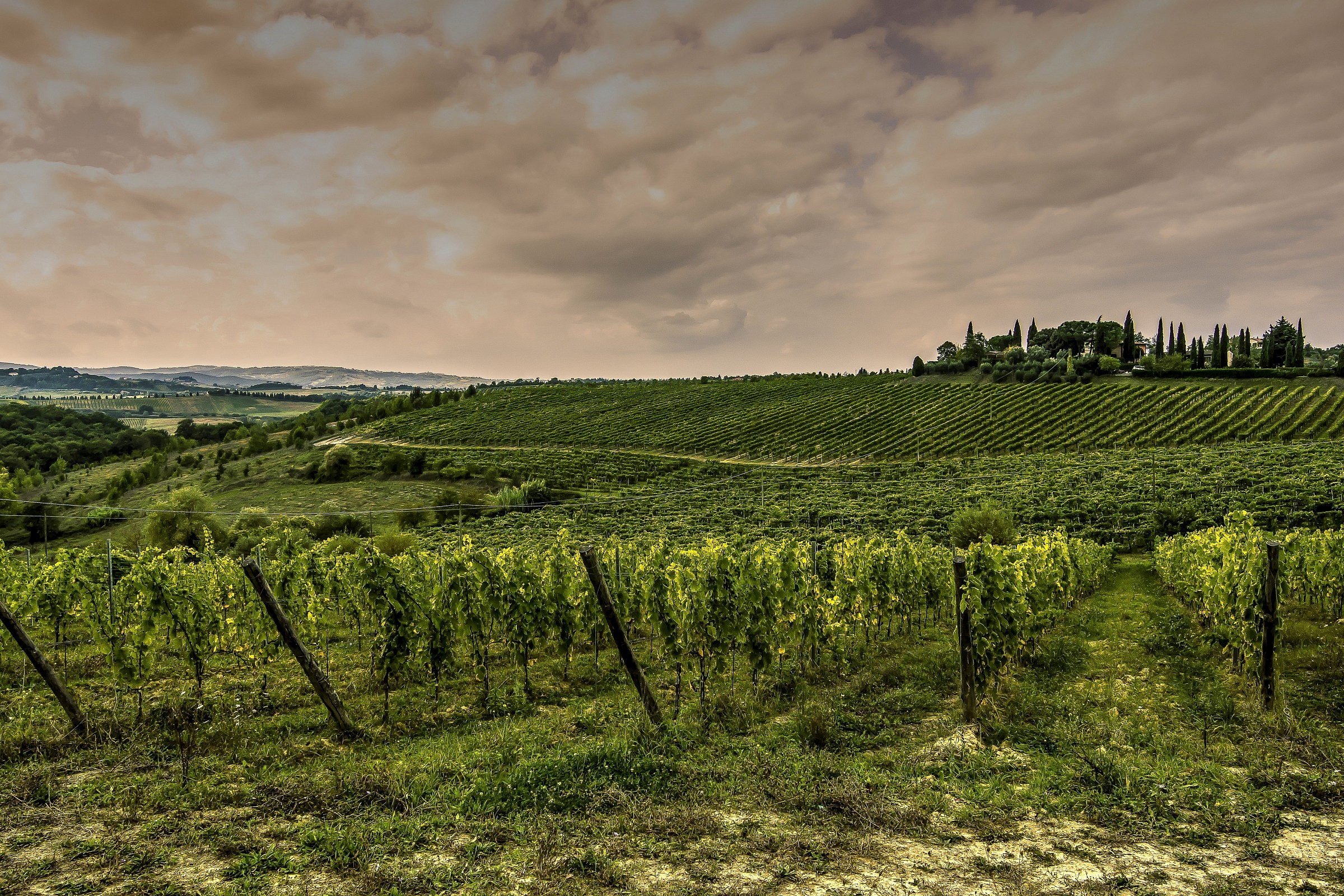 I vigneti di Montespertoli