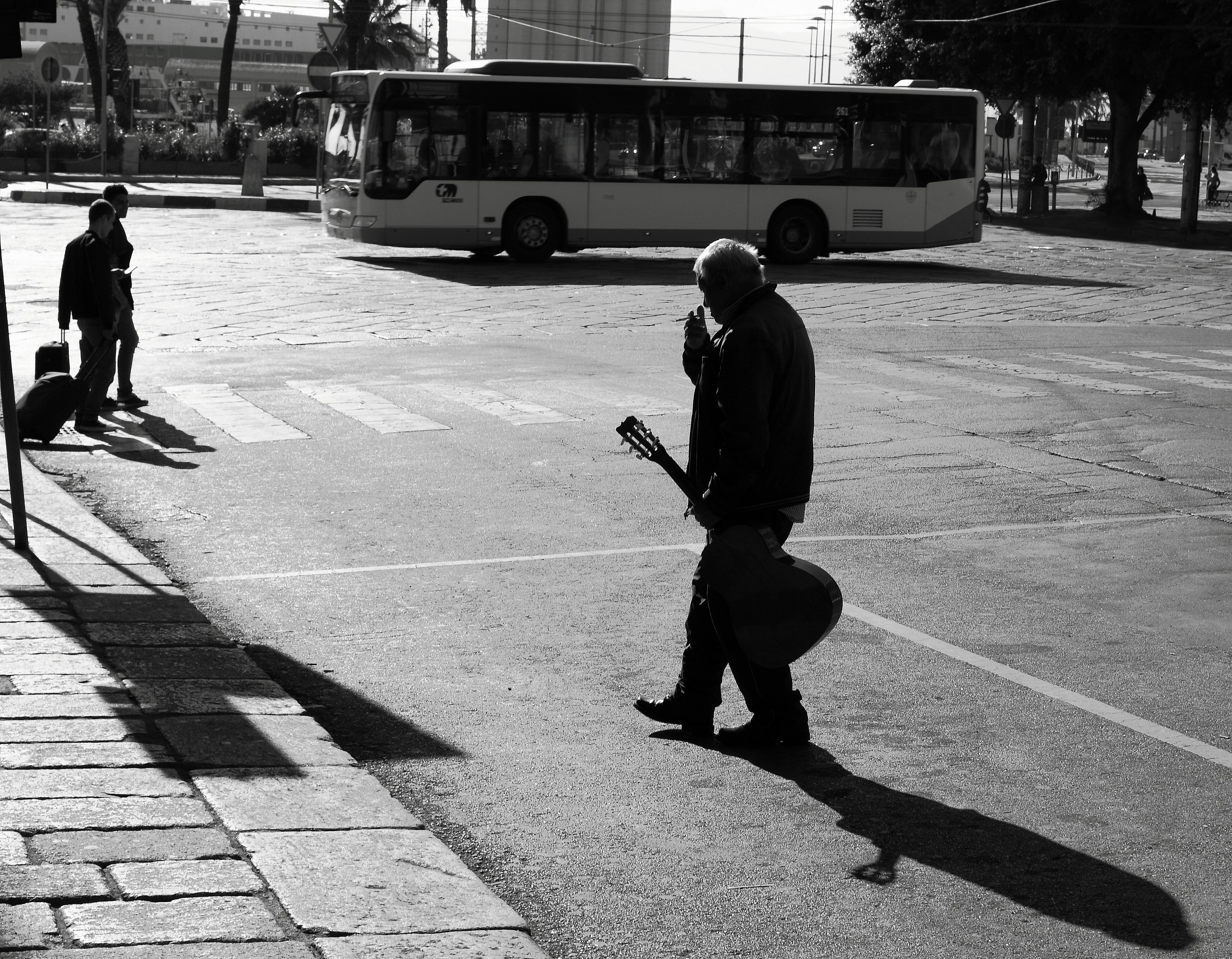 Il chitarrista solista