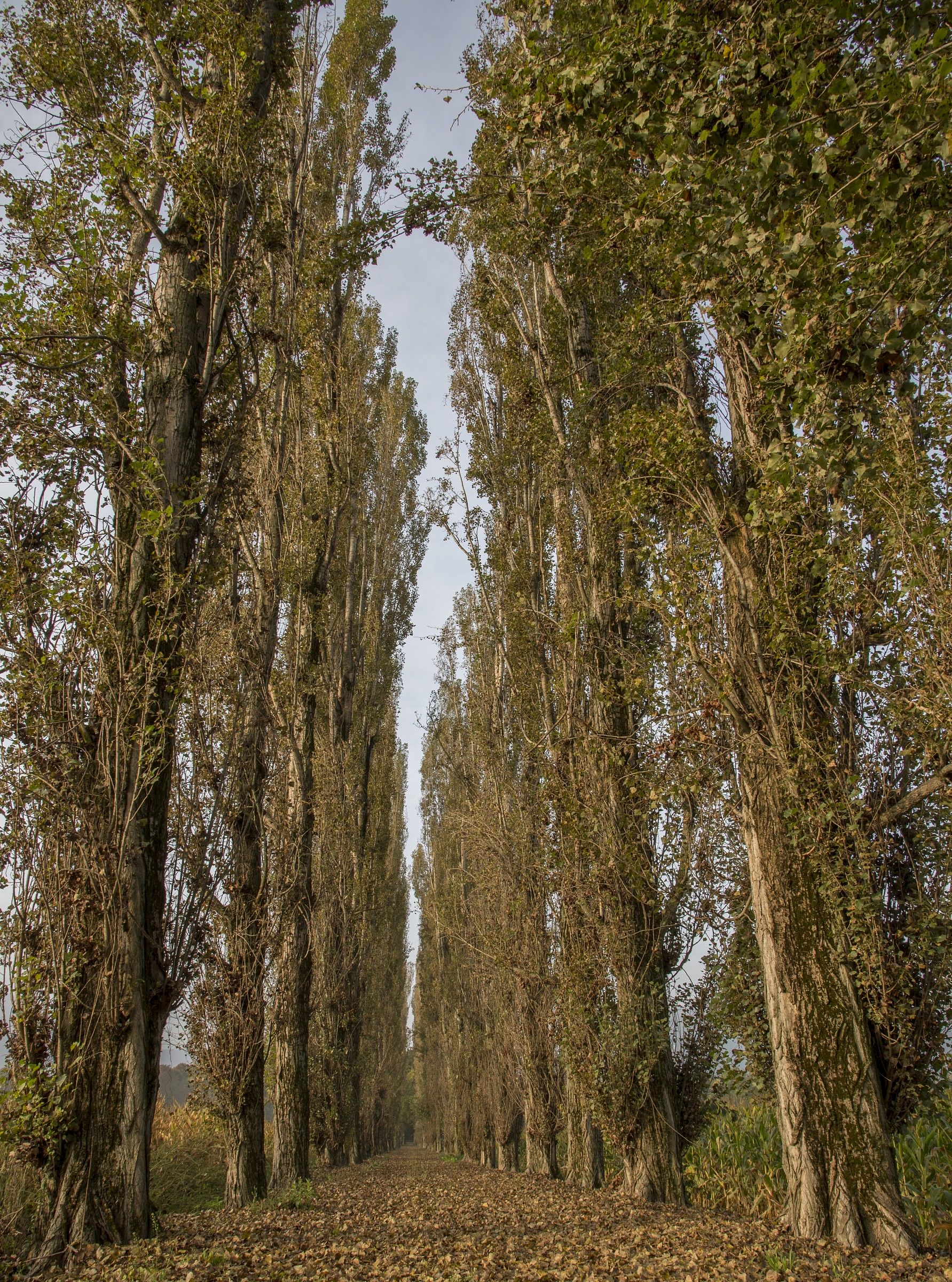 Autunno alle porte...