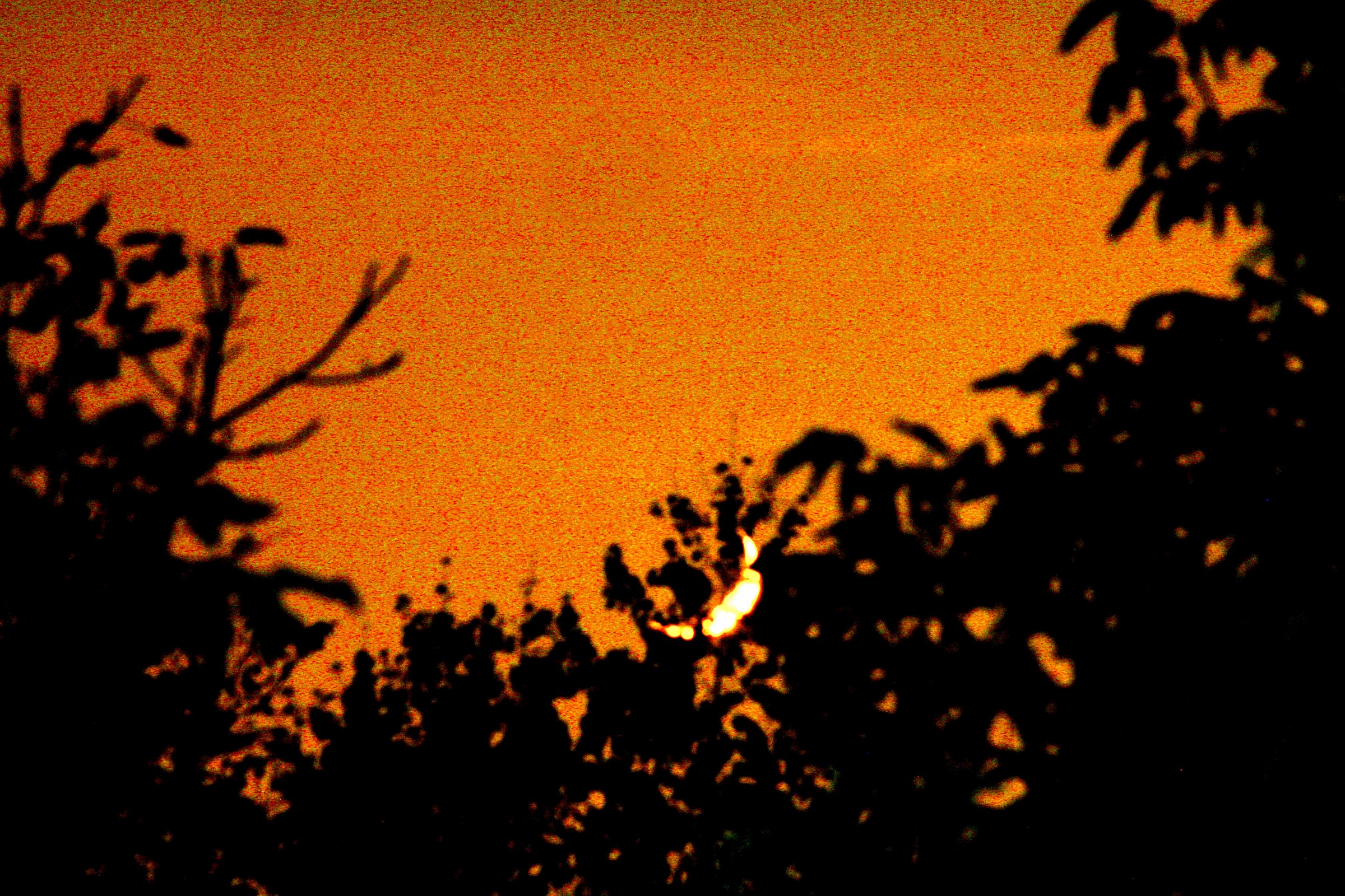 Il tramonto della Luna