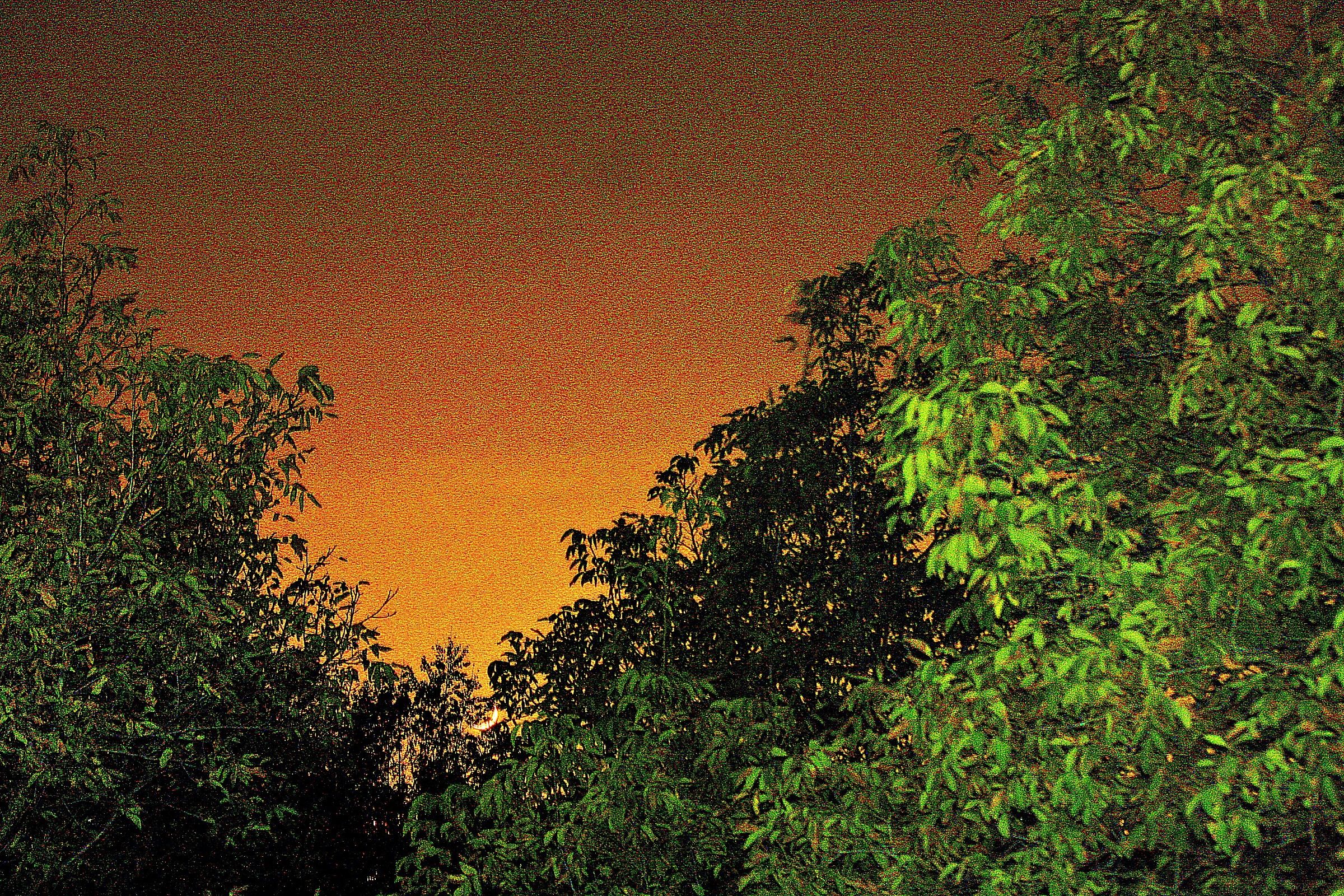 Il tramonto della Luna