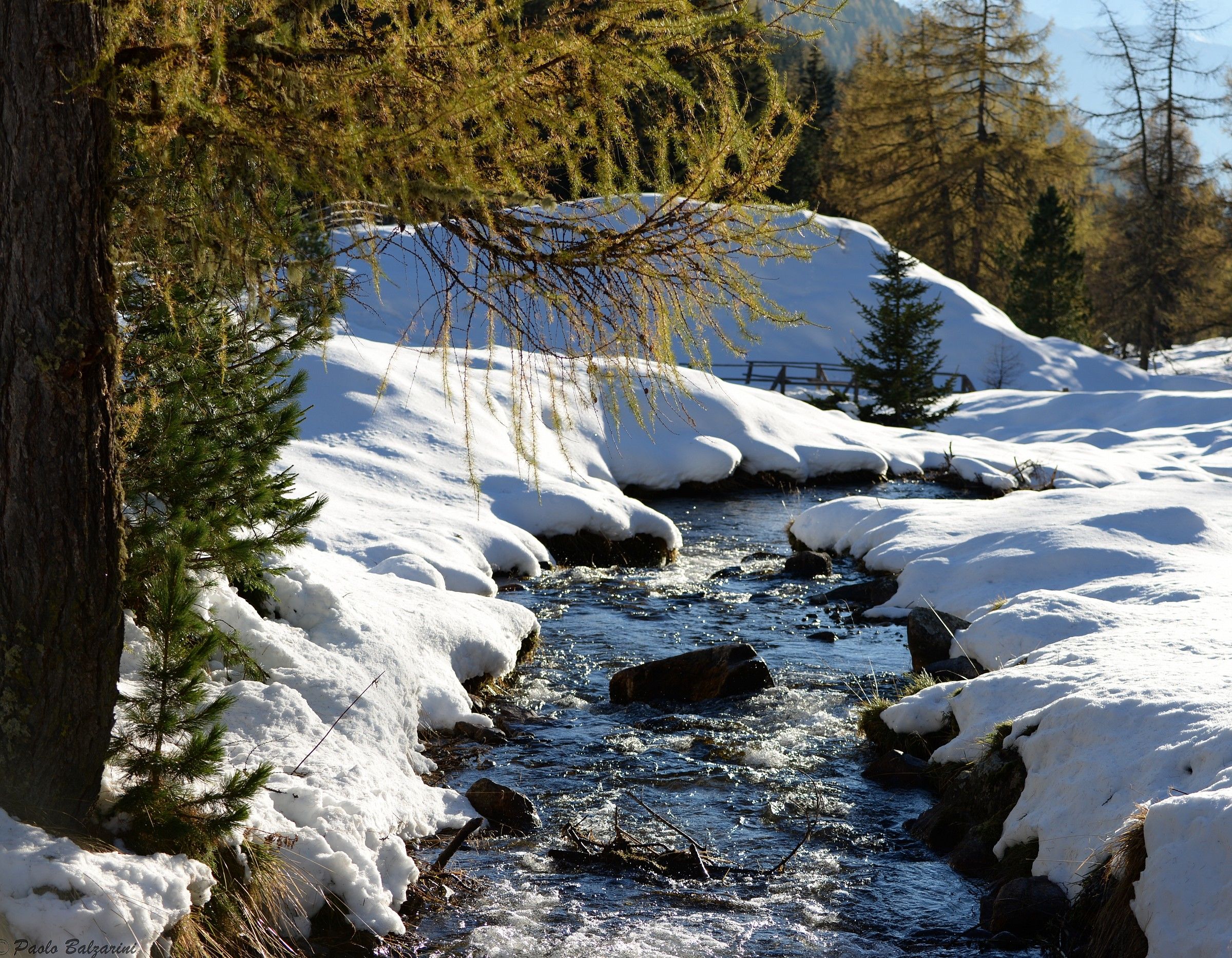 Oberwielenbach/Vila di Sopra Perca malga Lercheralm