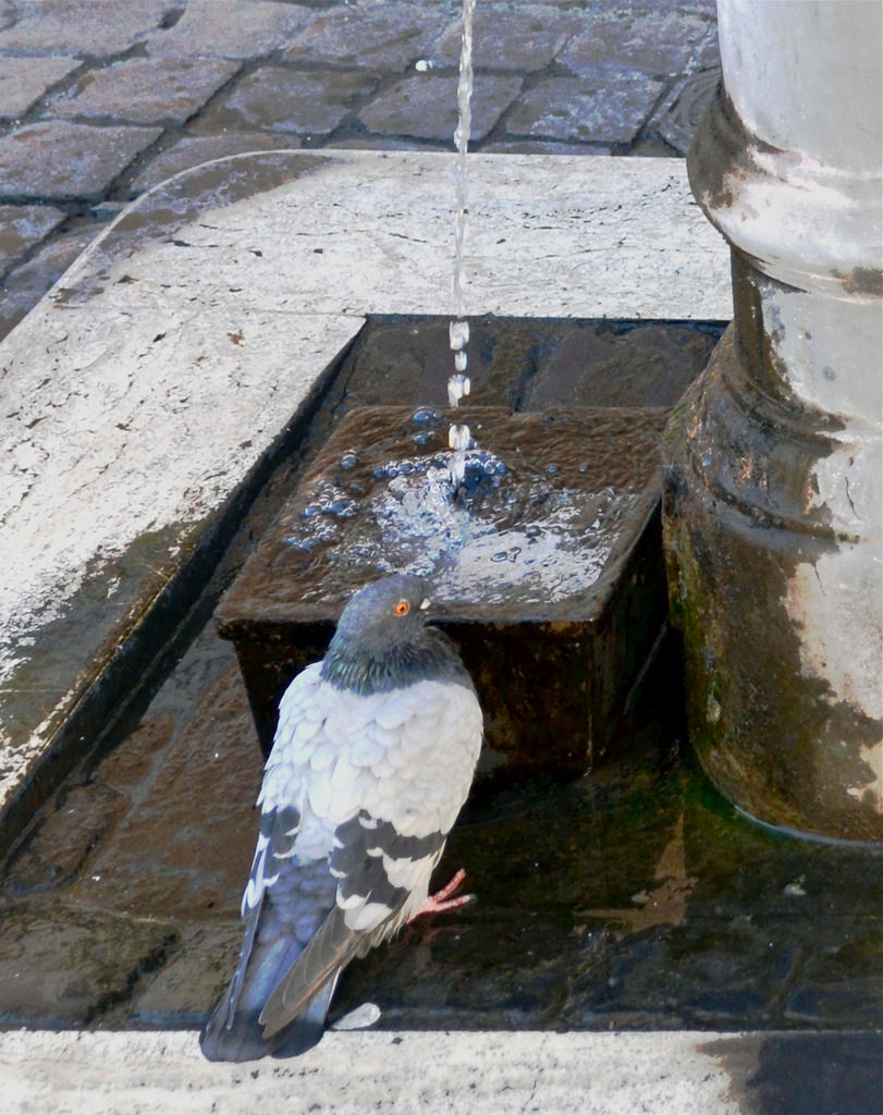 I m feeling observed