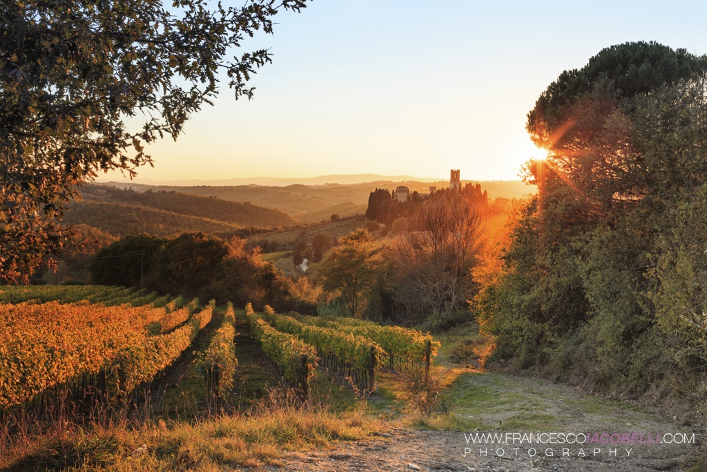 Chianti 2014 - Abbey of Passignano