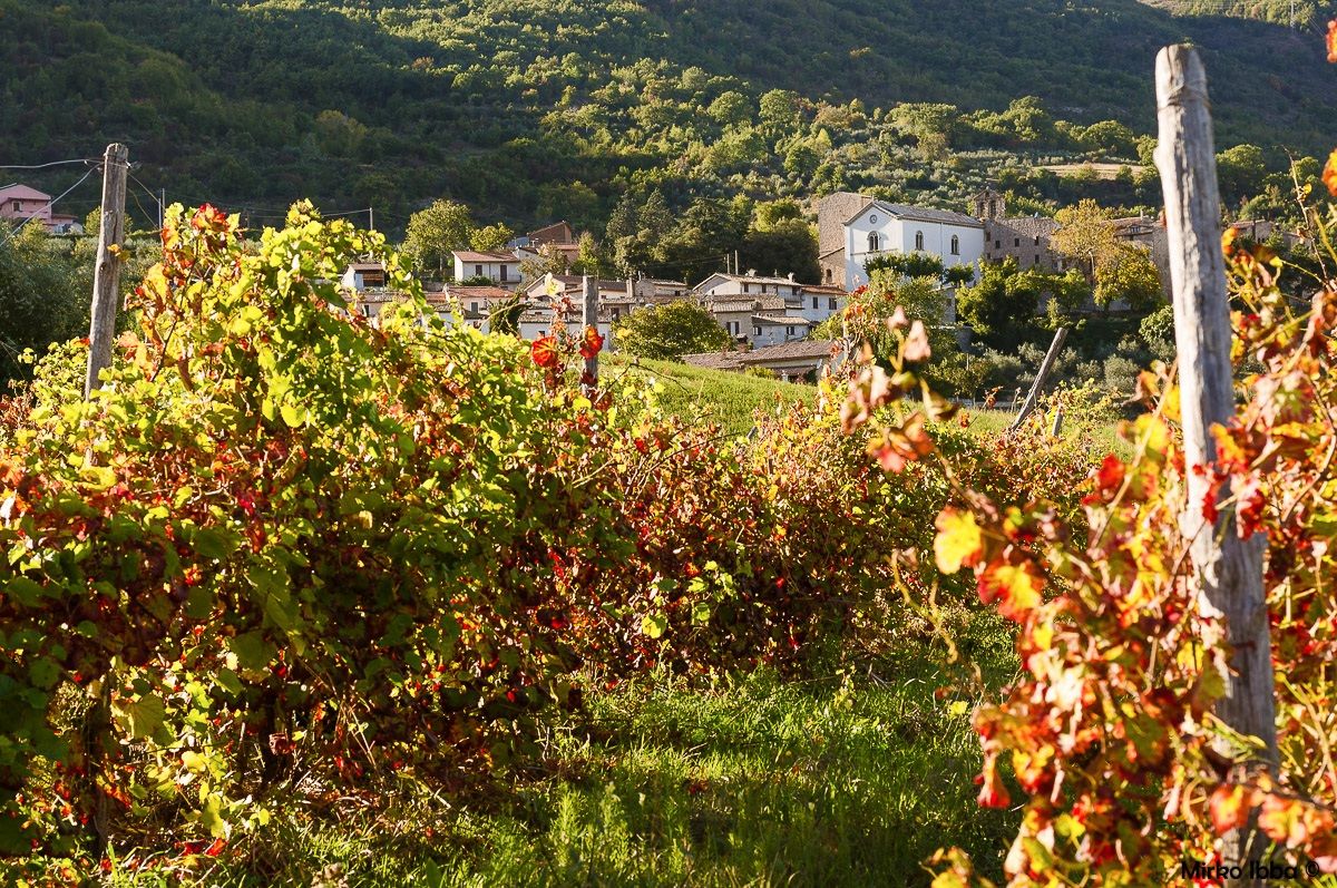 The colors of 'autumn