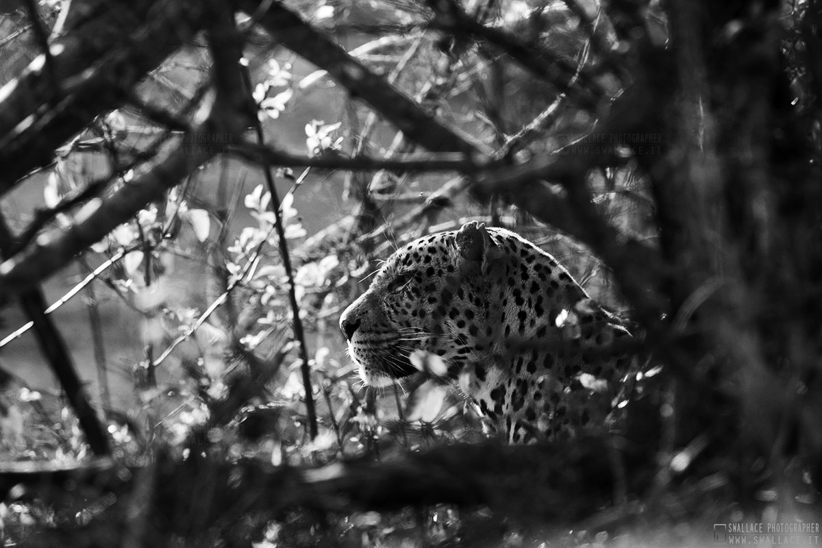 St. Lucia, South Africa