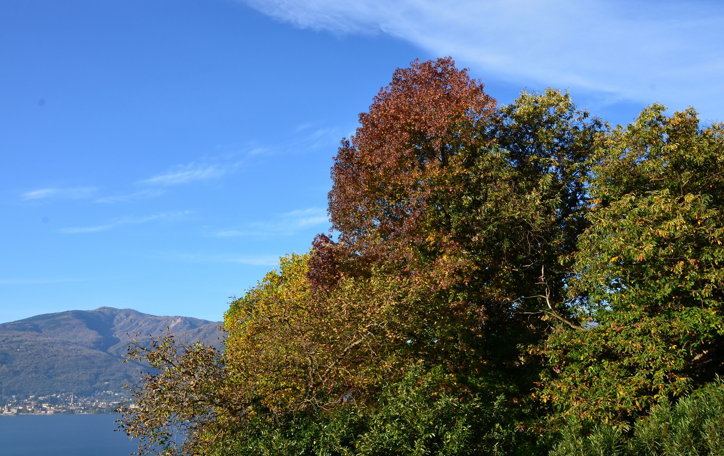 Al risveglio, d'autunno