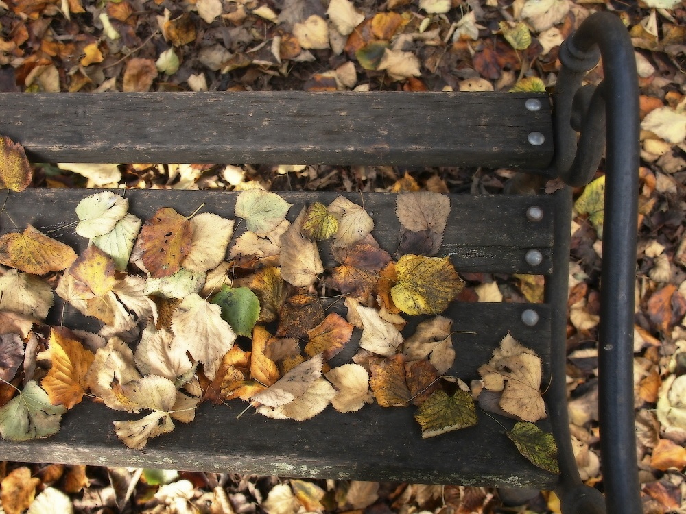 Le panchine d'autunno