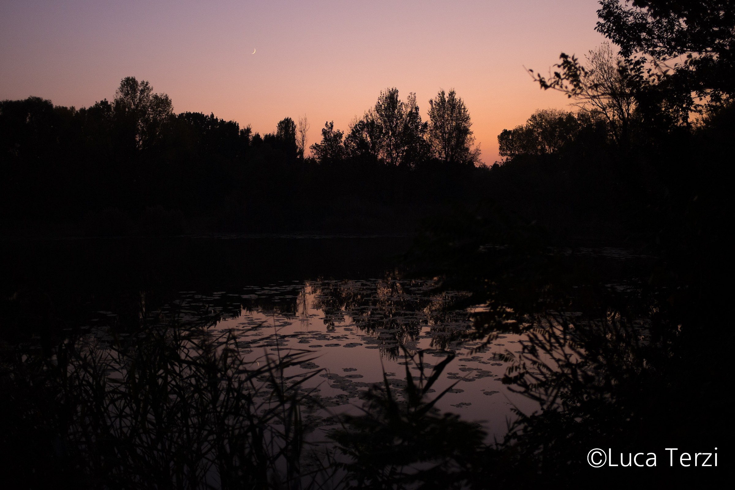 Bogs Iseo - First dark