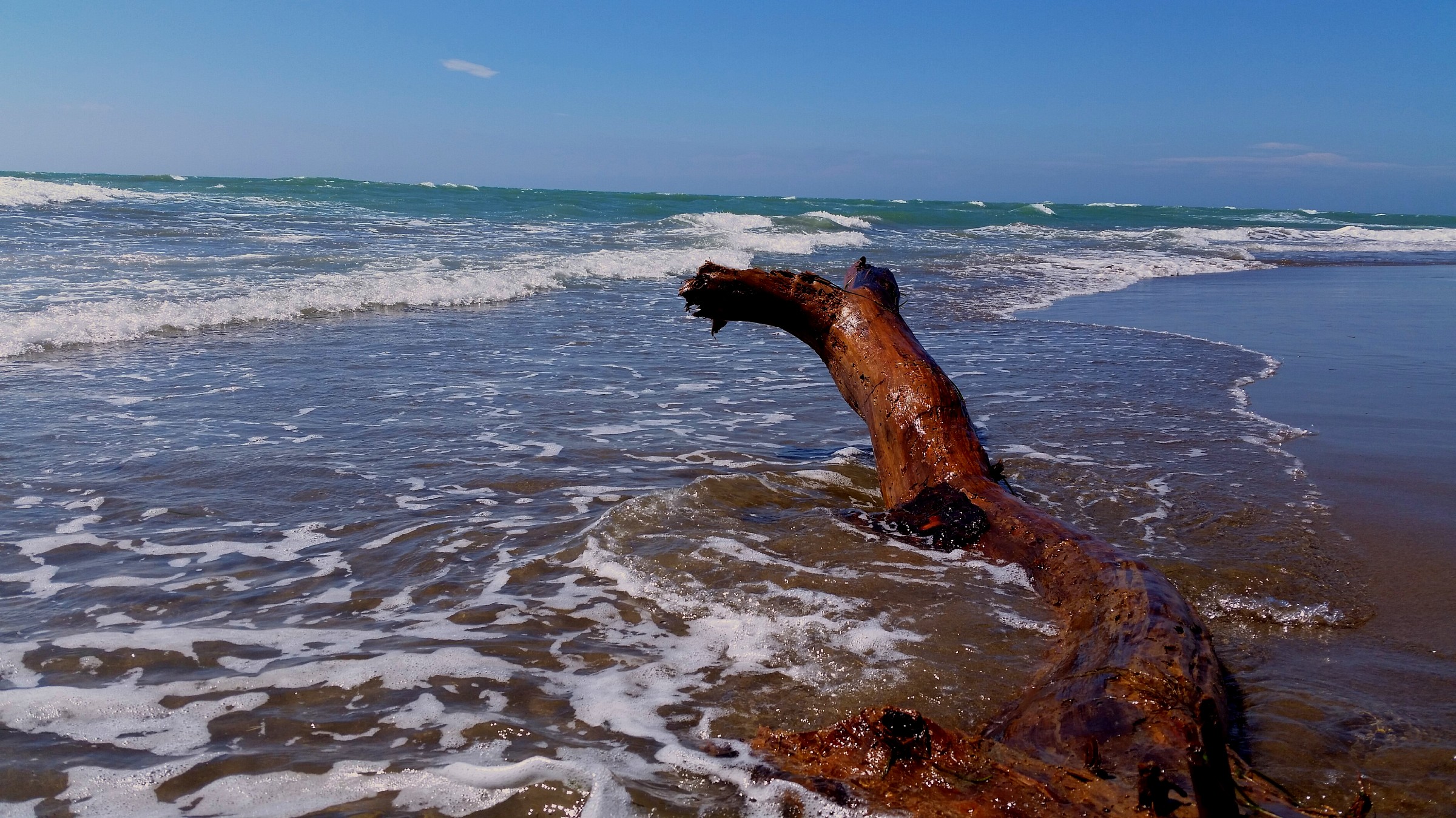 the sound of the sea