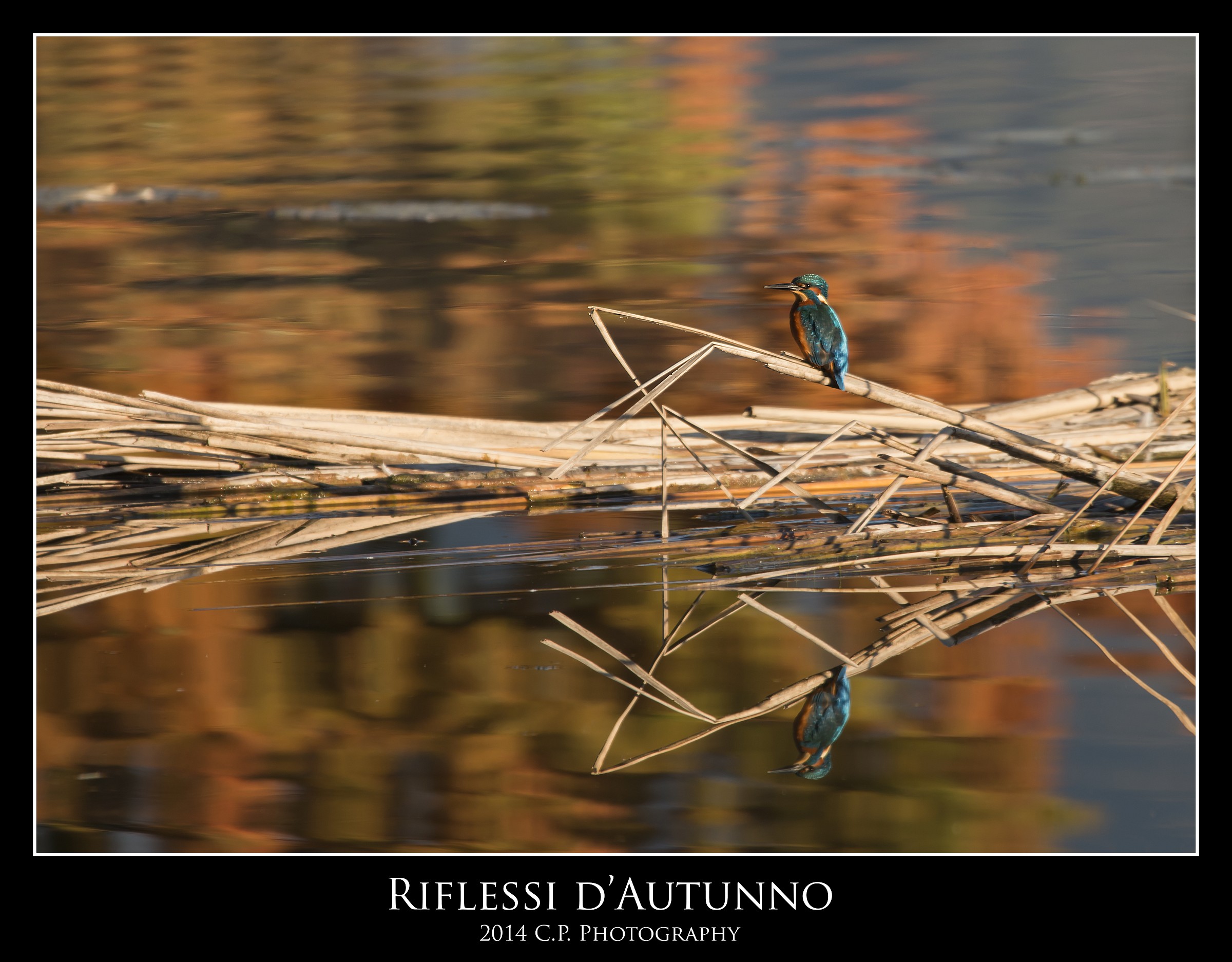 Riflessi  d'autunno