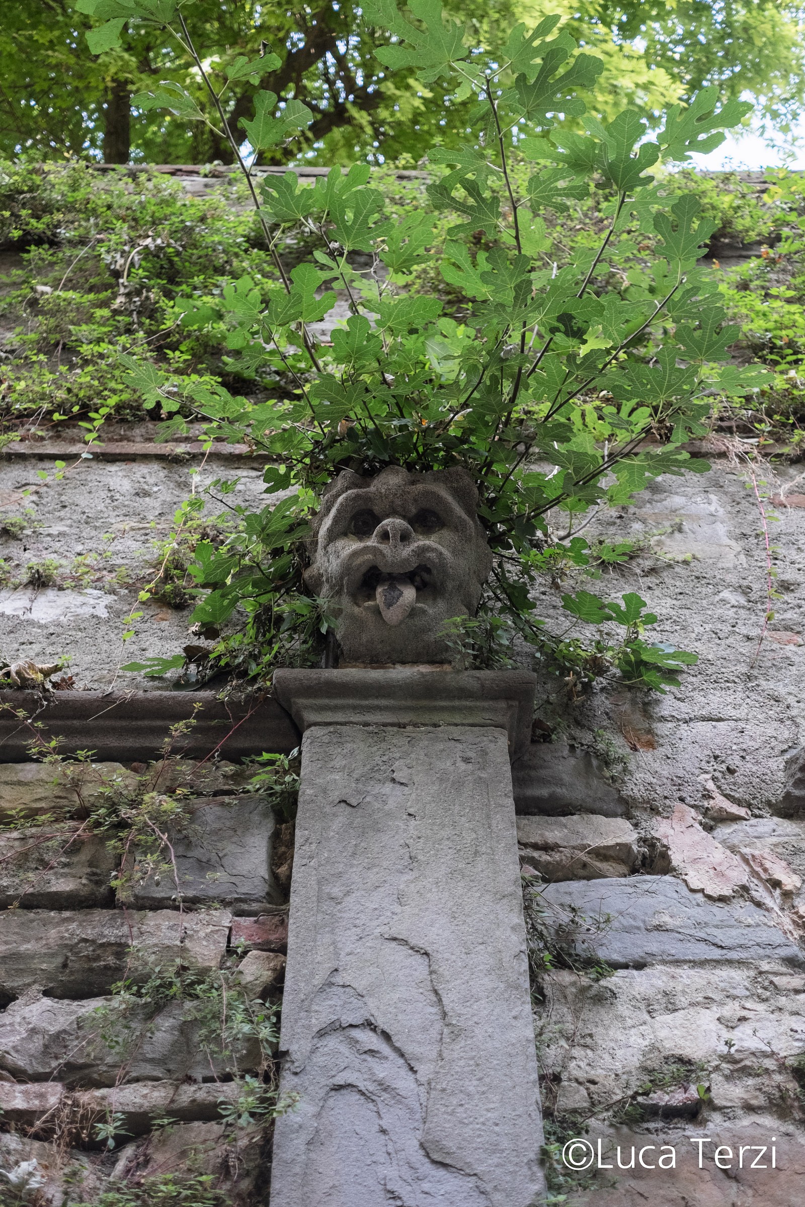 Bergamo Alta - Gargoyle flower child