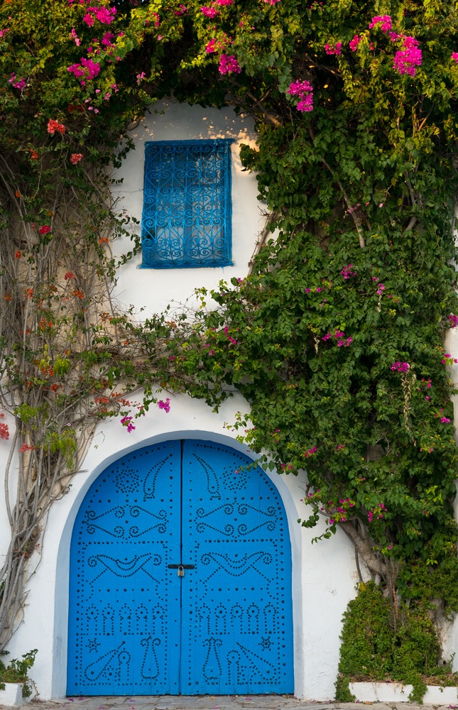Le case di Sidi Bou Said