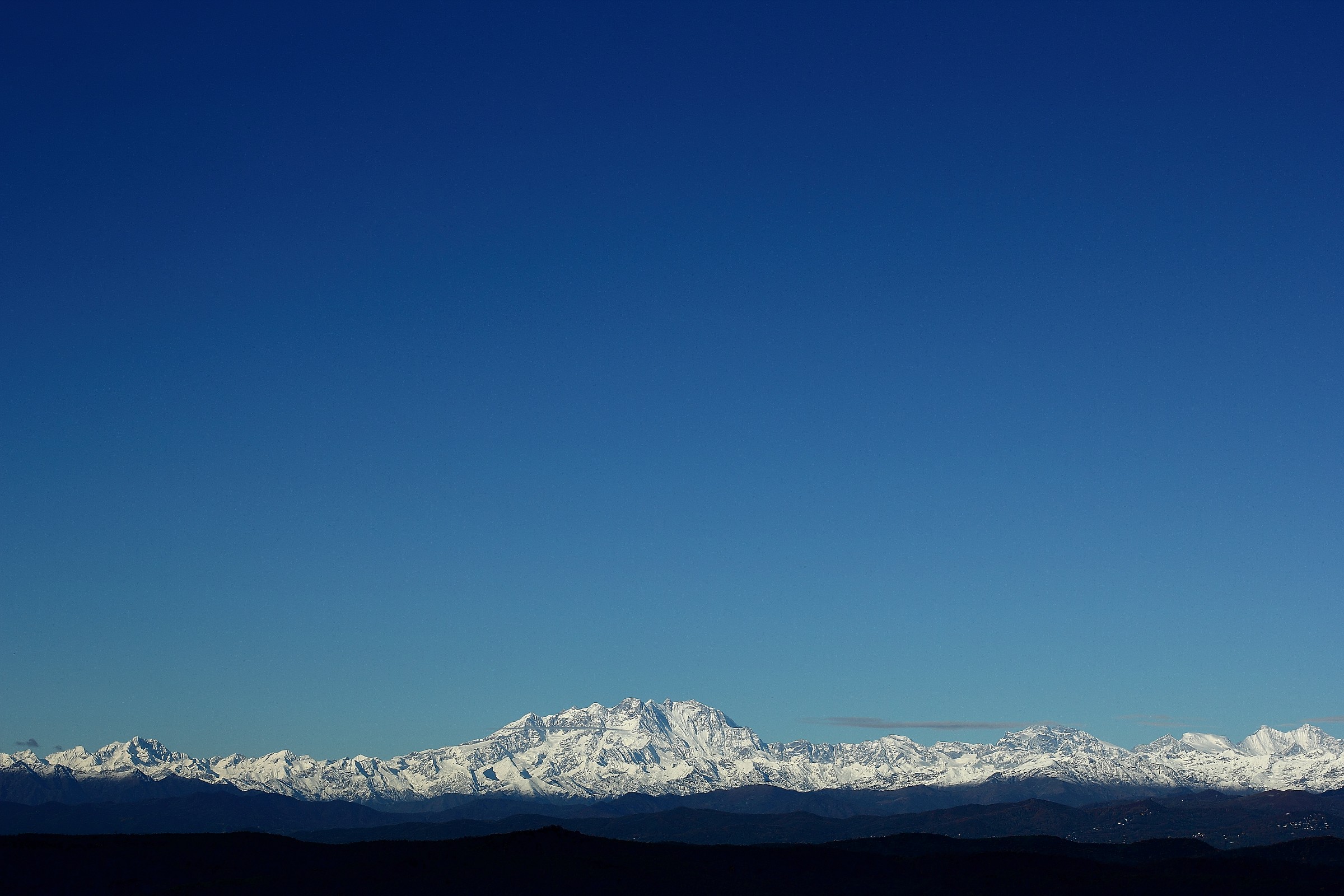 The Rose .... in blue.