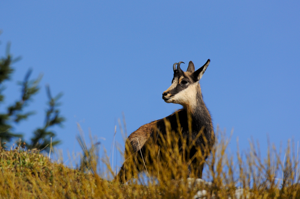 Scrutando all'orizzonte...