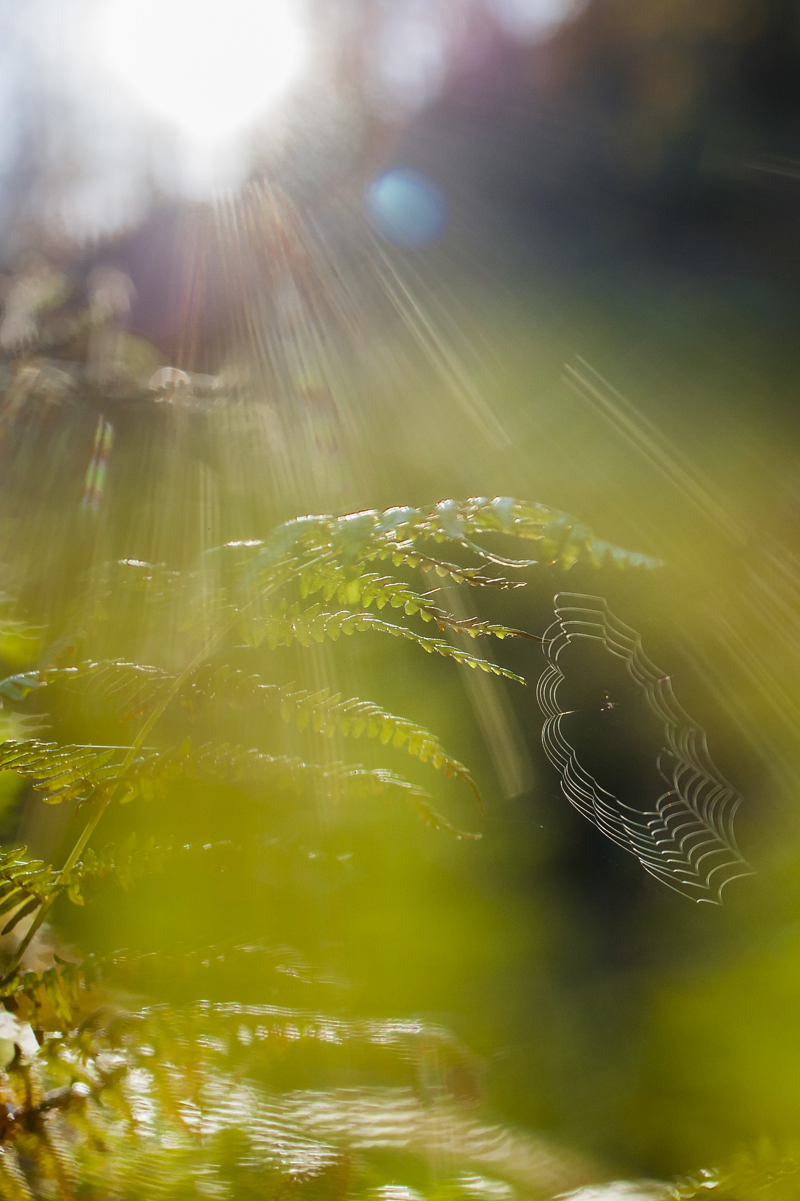 Alle prime luci dell'alba..