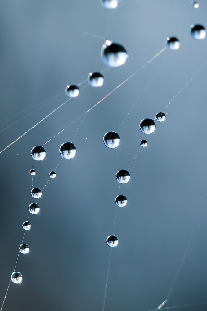 Drops