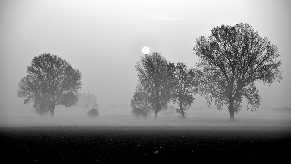 1 shadows in the morning