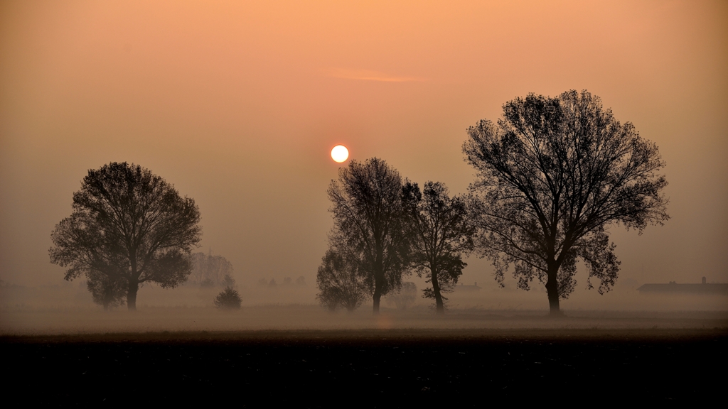 2 lights in the morning