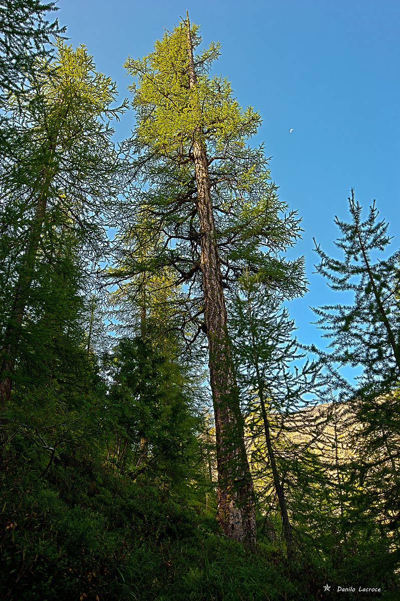 Autunno nelle Langhe.- Valgrisenche (ao).