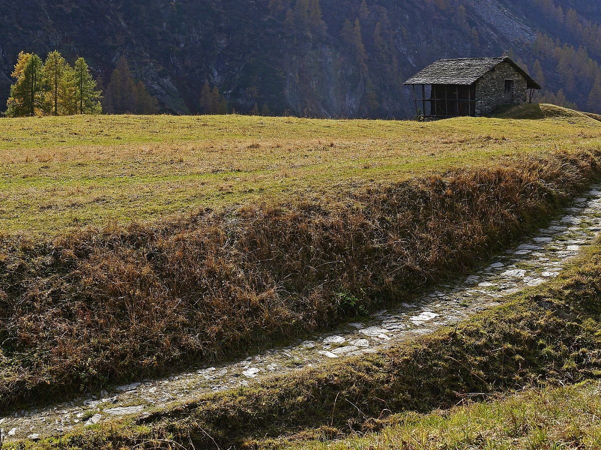 Il sentiero della serenita'