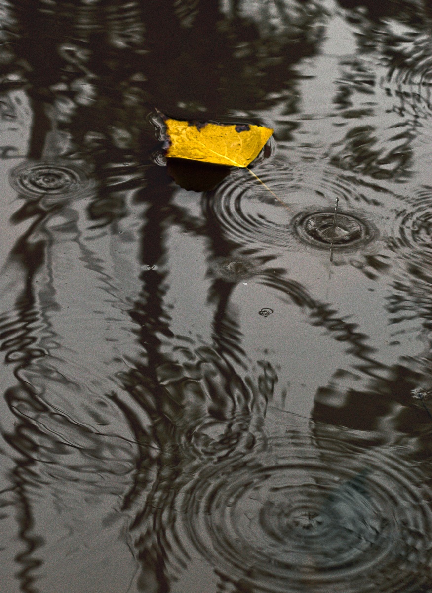 Malinconie autunnali