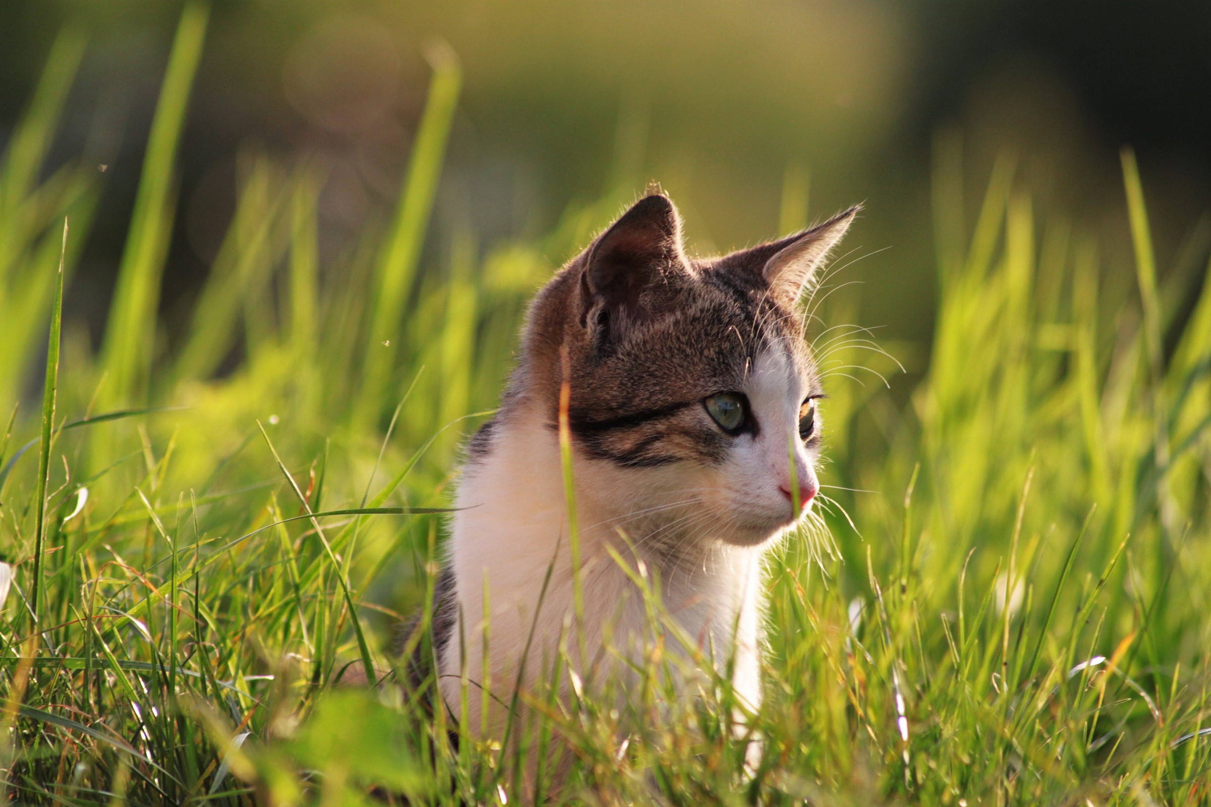 Incontri inaspettati