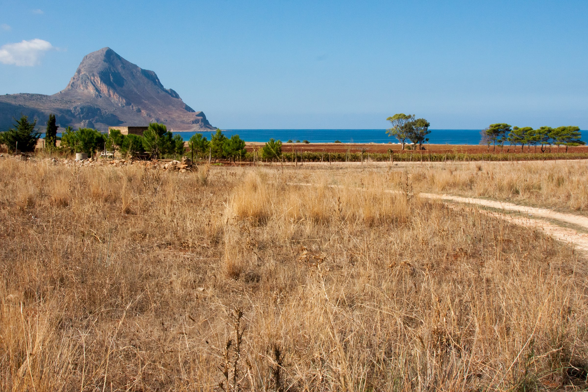 Verso San Vito lo Capo