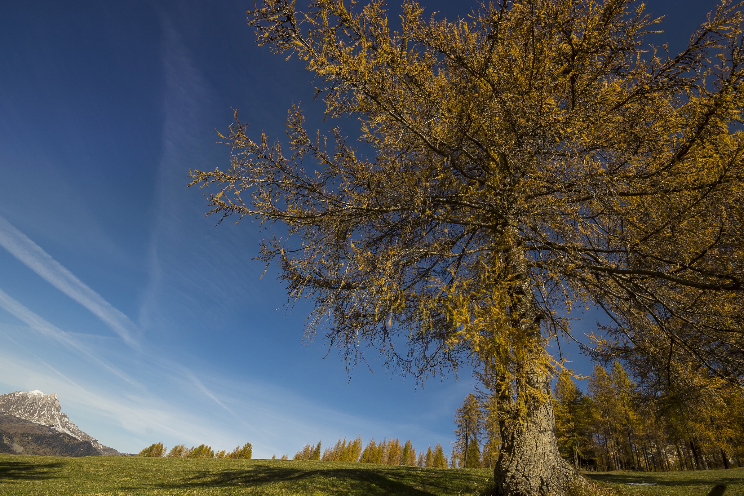 Lersc verso il Tru de Lersc