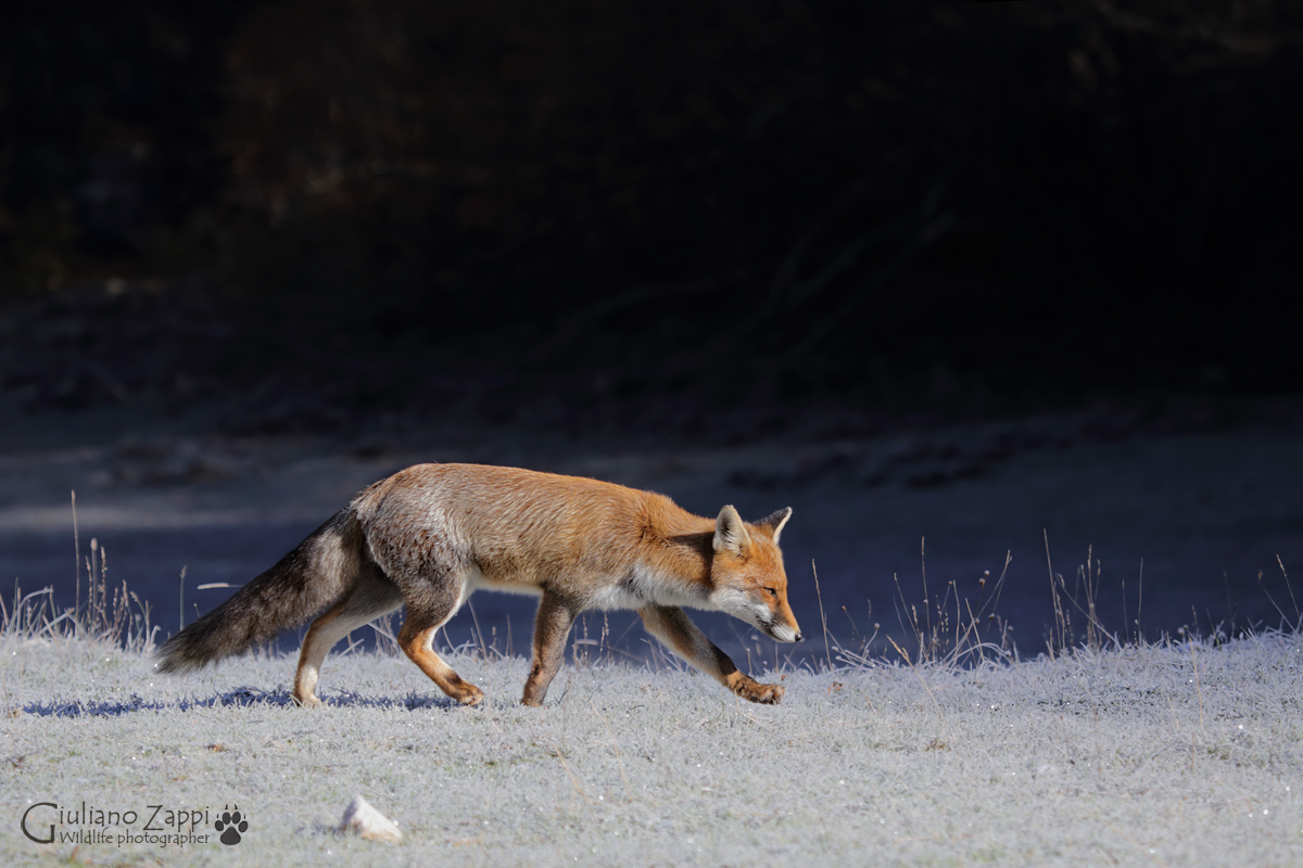 Salutando l'arrivo del sole