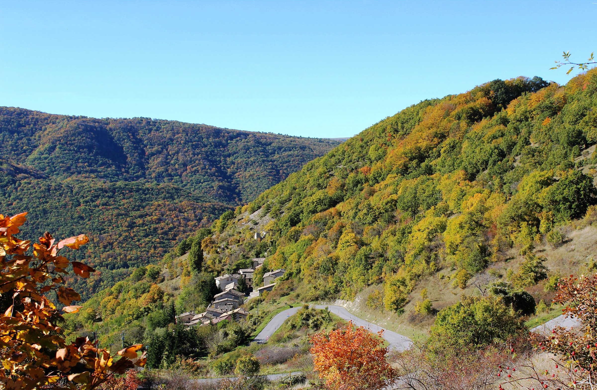 The colors of autumn